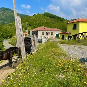 https://holiday-nature-home-colle-del-faggio.hotelitalianriviera.com